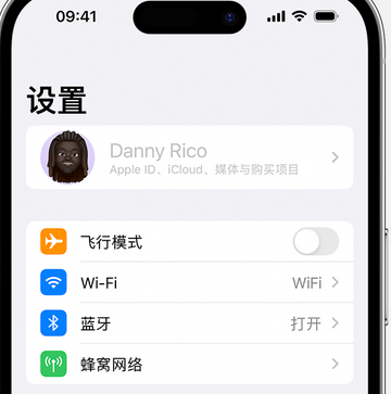 洮北appleID维修服务iPhone设置中Apple ID显示为灰色无法使用