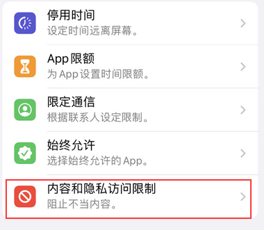 洮北appleID维修服务iPhone设置中Apple ID显示为灰色无法使用