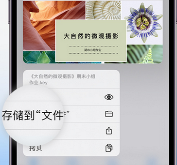 洮北apple维修中心分享iPhone文件应用中存储和找到下载文件