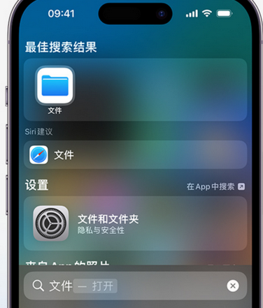 洮北apple维修中心分享iPhone文件应用中存储和找到下载文件 