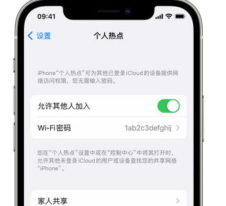 洮北apple服务站点分享iPhone上个人热点丢失了怎么办 