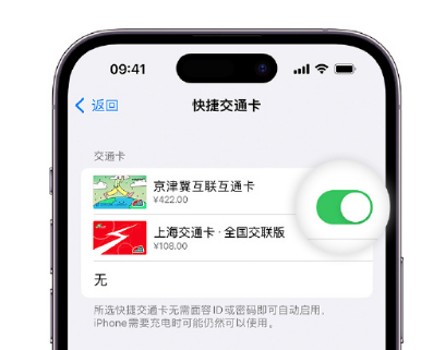 洮北apple维修点分享iPhone上更换Apple Pay快捷交通卡手绘卡面 