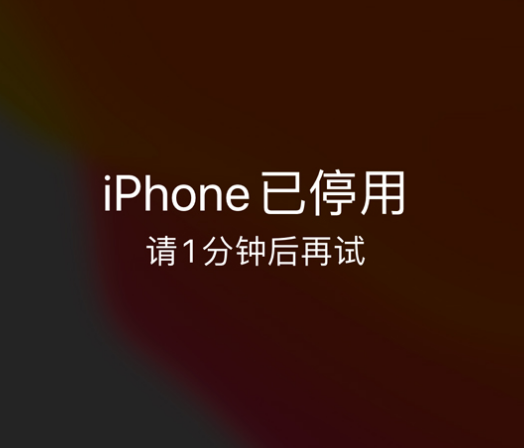 洮北苹果手机维修分享:iPhone 显示“不可用”或“已停用”怎么办？还能保留数据吗？ 