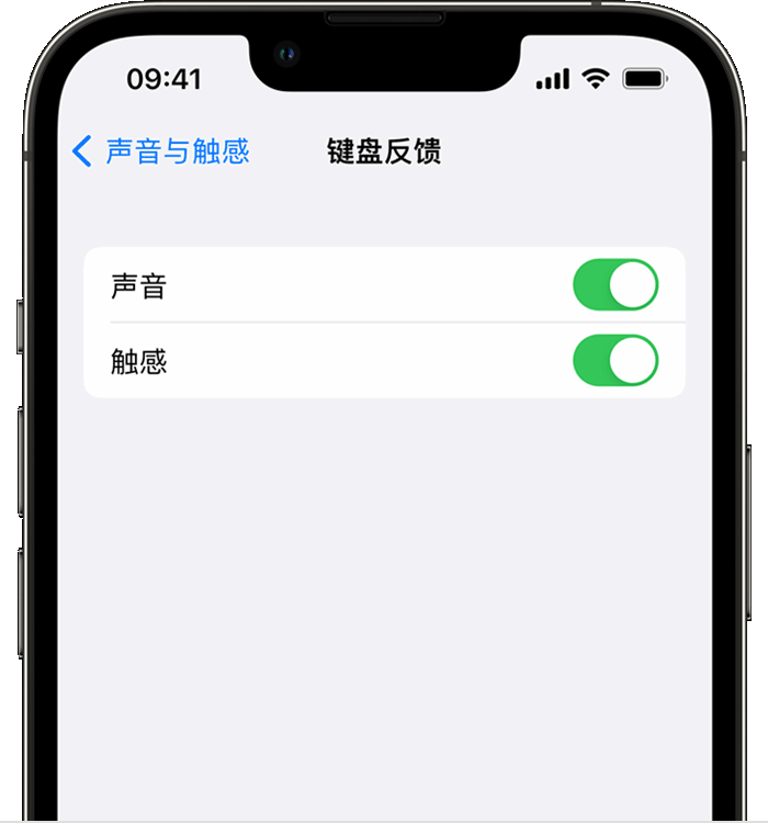 洮北苹果14维修店分享如何在 iPhone 14 机型中使用触感键盘 