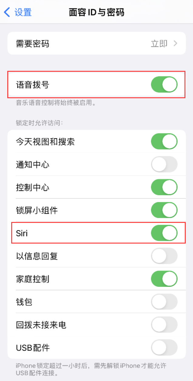 洮北苹果维修网点分享不解锁 iPhone 的情况下通过 Siri 拨打电话的方法 