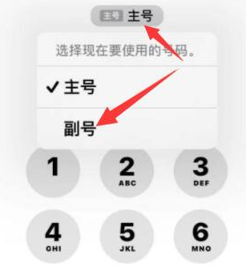 洮北苹果14维修店分享iPhone 14 Pro Max使用副卡打电话的方法 