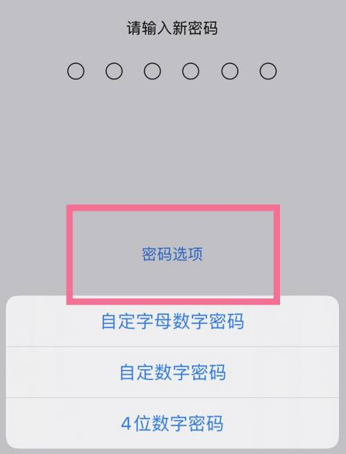 洮北苹果14维修分享iPhone 14plus设置密码的方法 