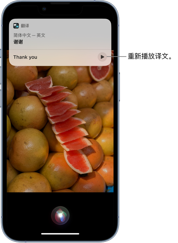 洮北苹果14维修分享 iPhone 14 机型中使用 Siri：了解 Siri 能帮你做什么 