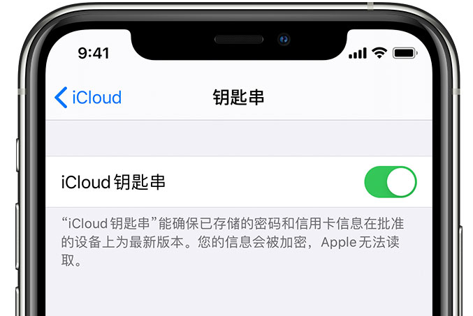 洮北苹果手机维修分享在 iPhone 上开启 iCloud 钥匙串之后会储存哪些信息 