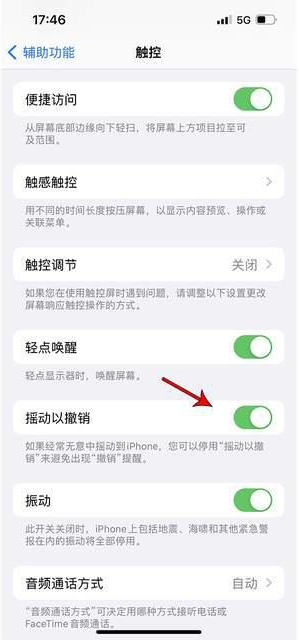 洮北苹果手机维修分享iPhone手机如何设置摇一摇删除文字 