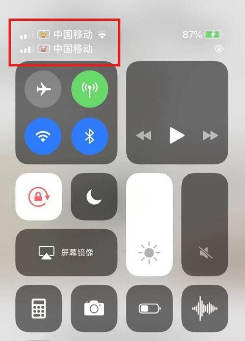 洮北苹果手机维修分享为 iPhone 12 双卡设置标签 