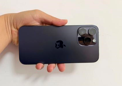 洮北苹果维修点分享iPhone 14 Pro Max黑屏少见故障盘点 